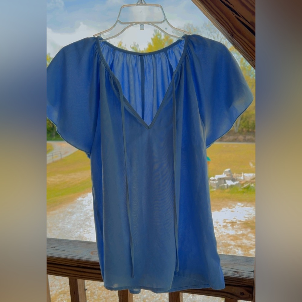 Blue Sheer Blouse with Flutter Sleeves